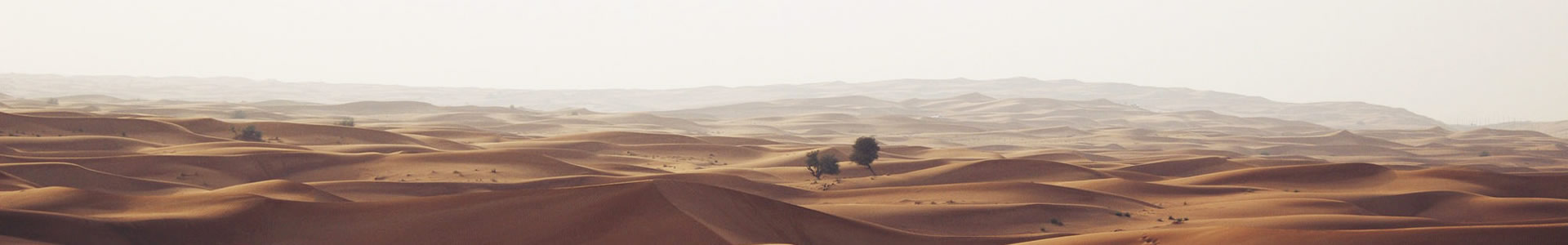 ɽؿó޹˾